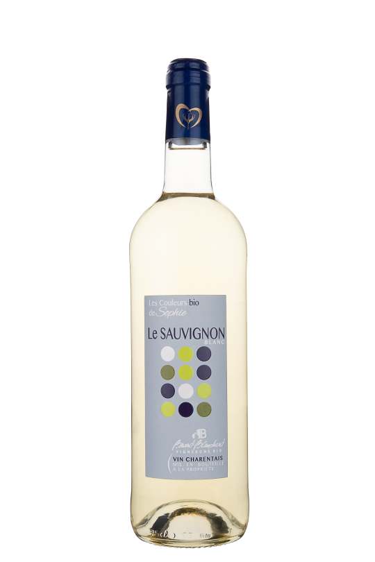 Les couleurs de Sophie Sauvignon